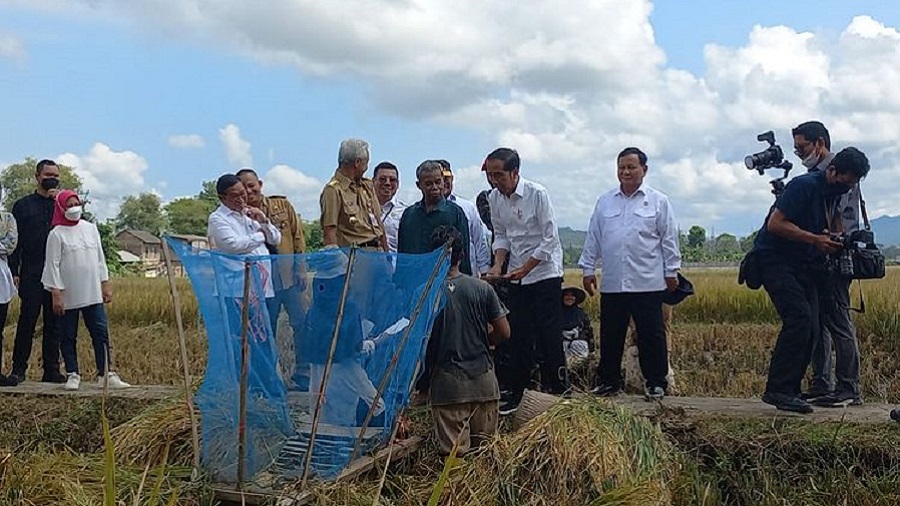 Presiden Jokowi Minta Agar Harga Beras di Pasaran wajar