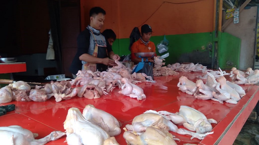 Jelang Ramadan Harga Daging Ayam Di Bandar Lampung Melonjak