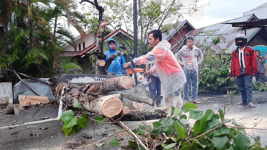 Akibat Angin Kencang, Pohon Tumbang Timpa Mobil dan Tutup Badan Jalan