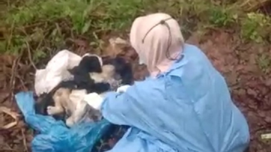 Geger ! Jasad Bayi Perempuan Terbungkus Plastik Ditemukan di Semak Semak