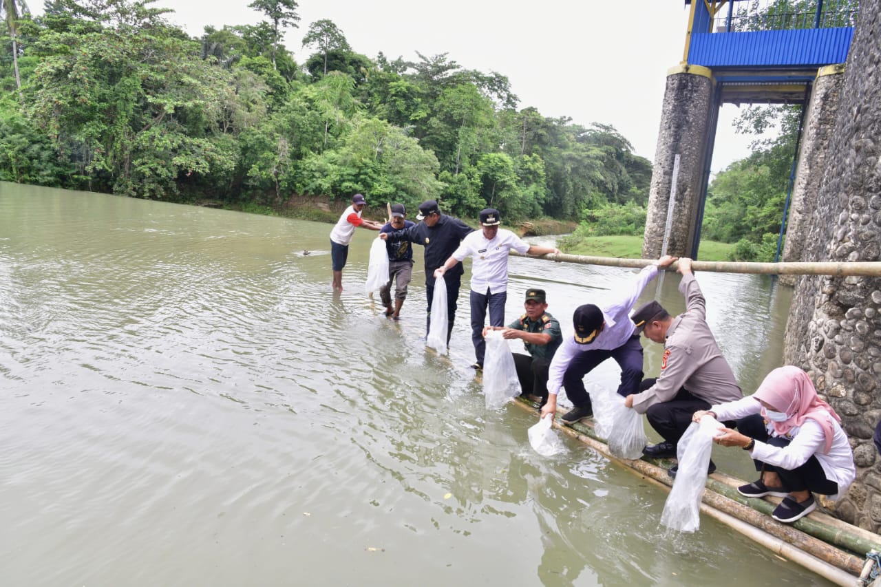 Hingga Hari Ini, Sudah 2,1 Juta Benih Ikan Air Tawar Ditebar di Bone