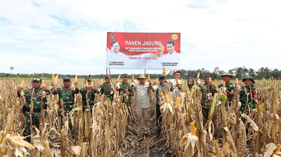 Kementerian Pertahanan RI Panen Raya Jagung di Lahan Food Estate, Kalimantan Tengah