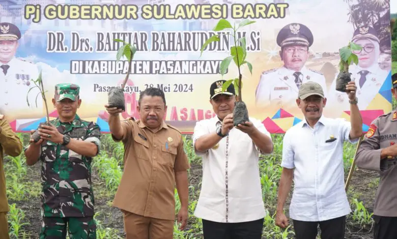 Pj Gubernur Bahtiar Mendorong Sukun Sulbar Menjadi Komoditas Unggulan Indonesia